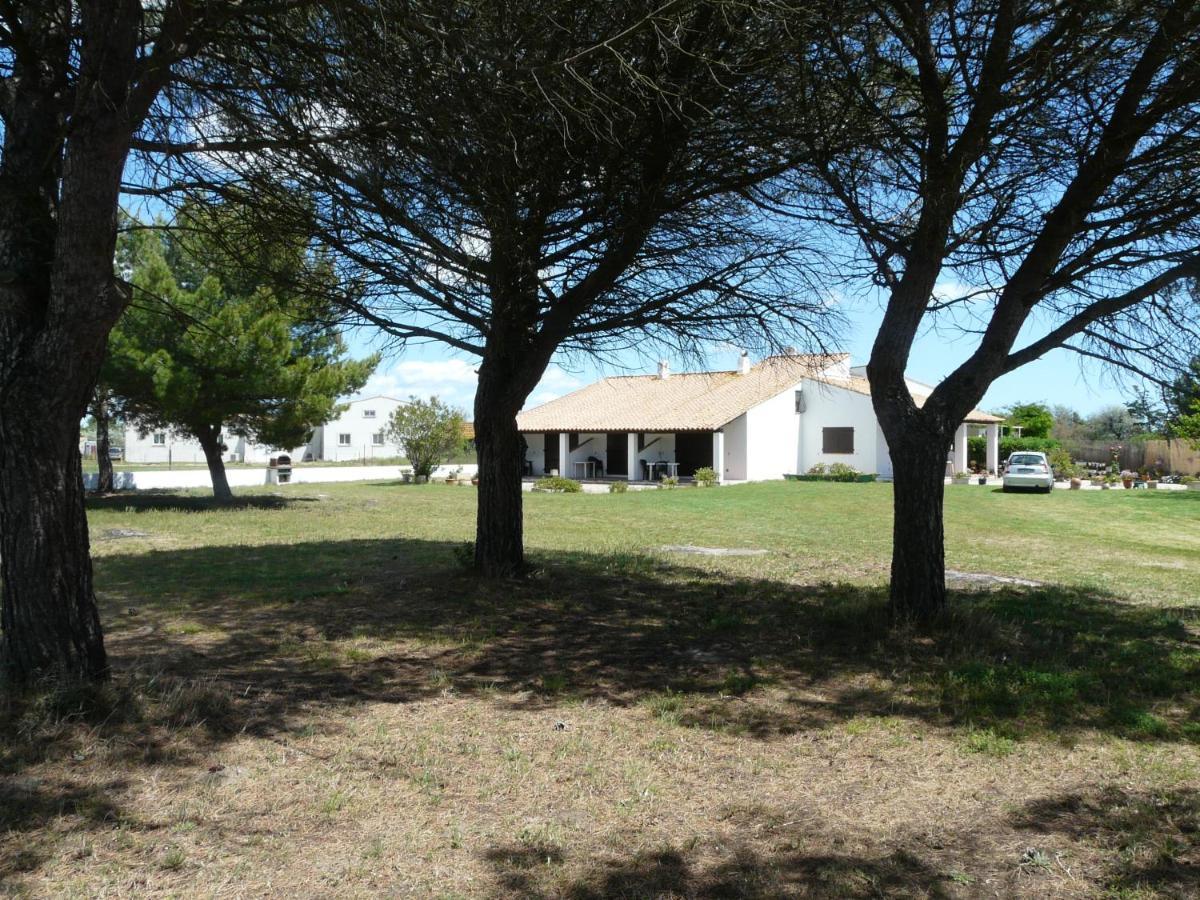 Mas du Clos de la Barque Saintes-Maries-de-la-Mer Exterior foto