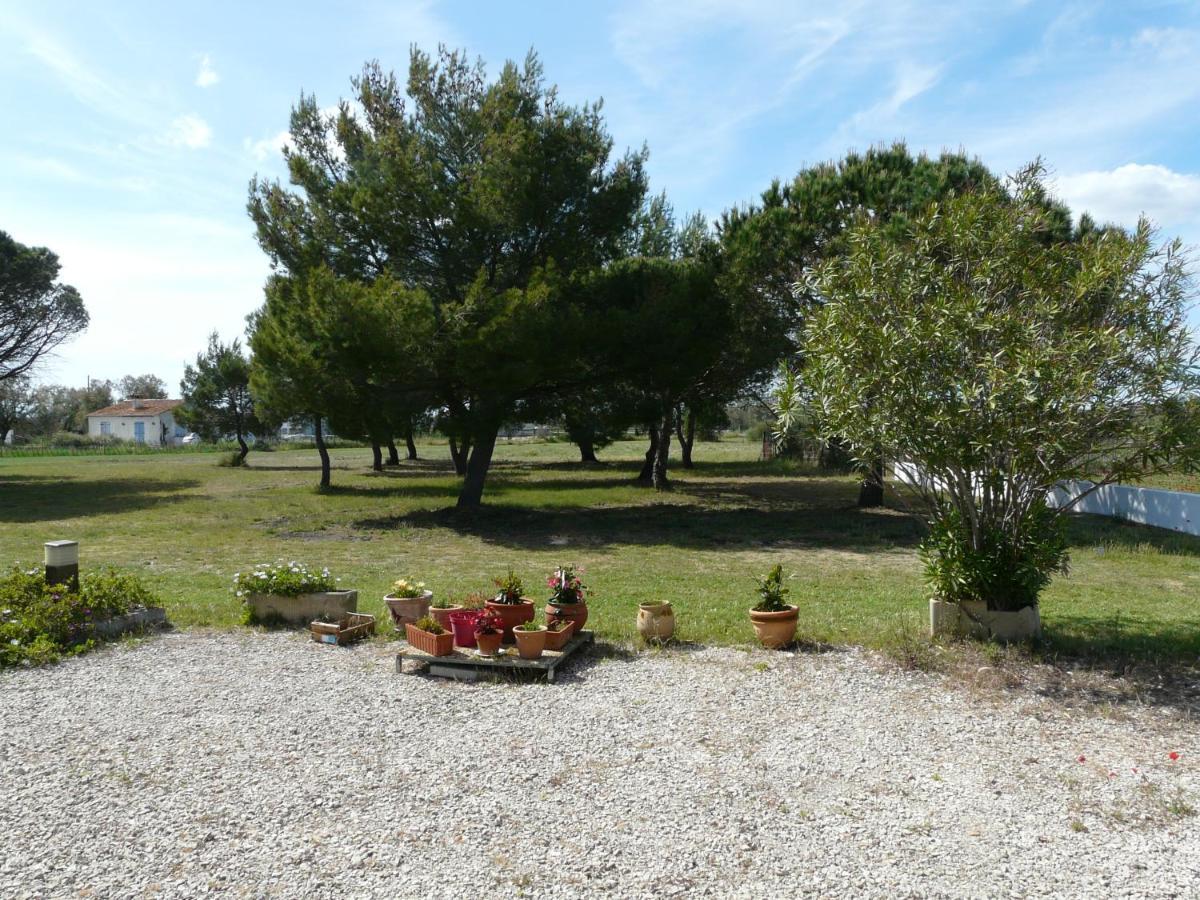 Mas du Clos de la Barque Saintes-Maries-de-la-Mer Exterior foto